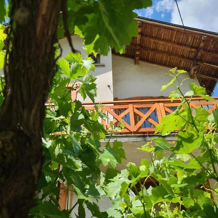 Вила 111 Sapareva Banja Exteriér fotografie
