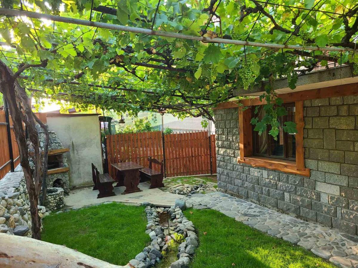 Вила 111 Sapareva Banja Exteriér fotografie