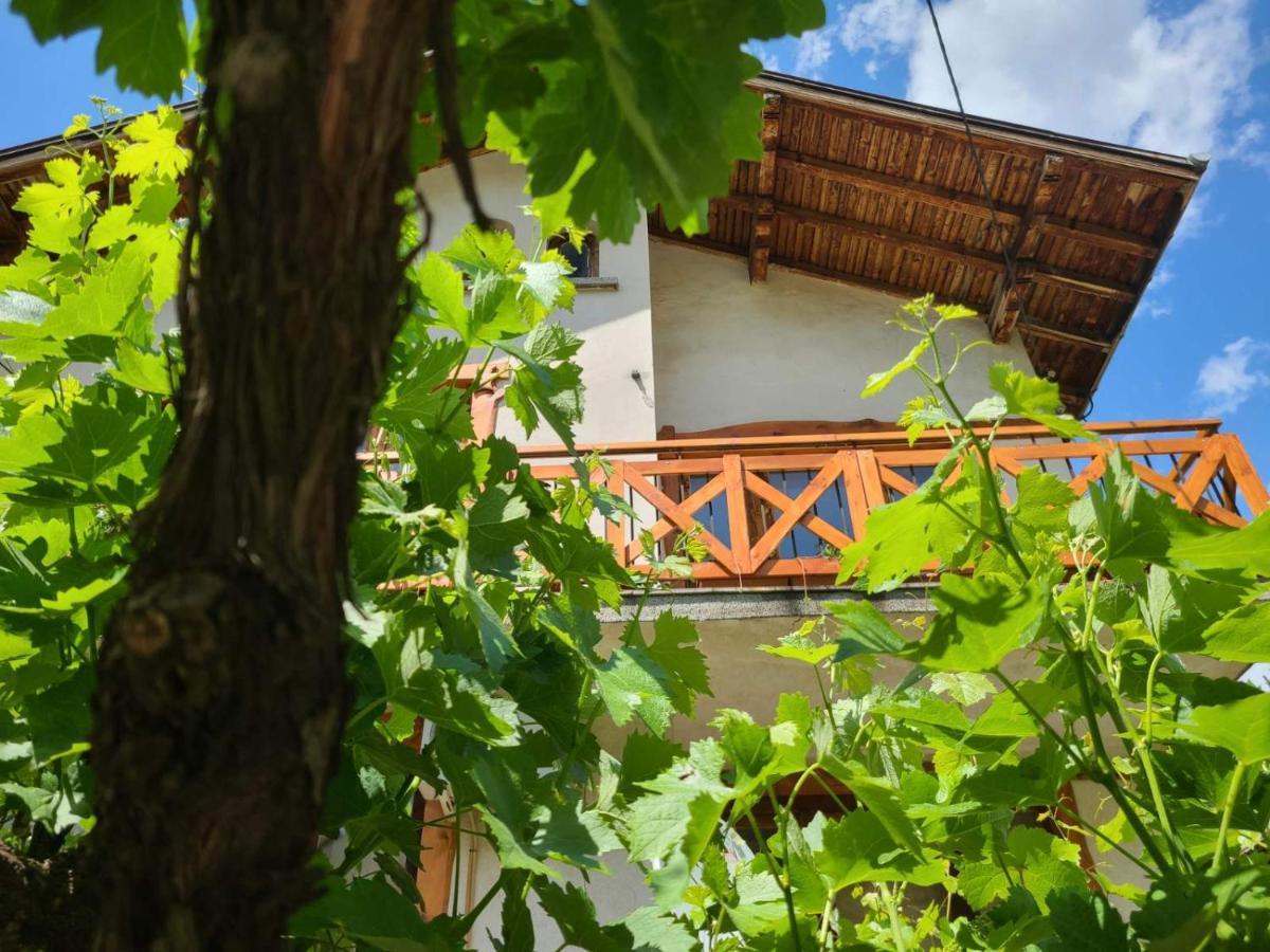 Вила 111 Sapareva Banja Exteriér fotografie