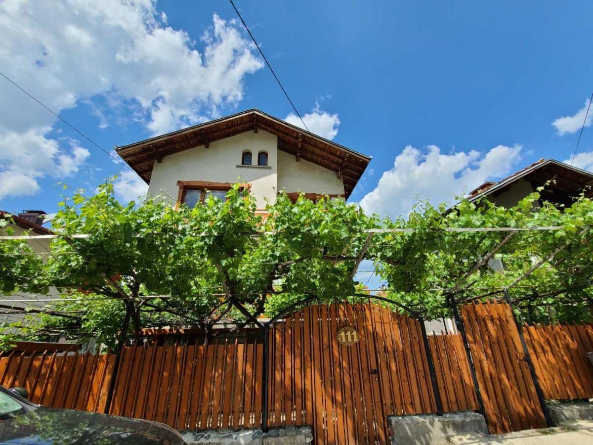 Вила 111 Sapareva Banja Exteriér fotografie